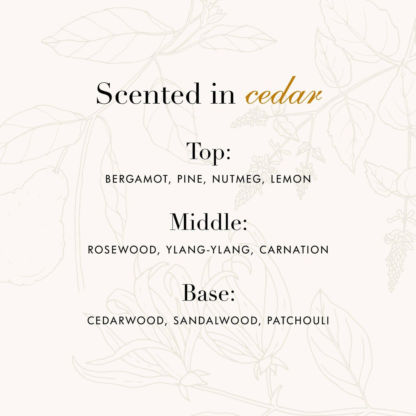 Wool & Cashmere Spray
