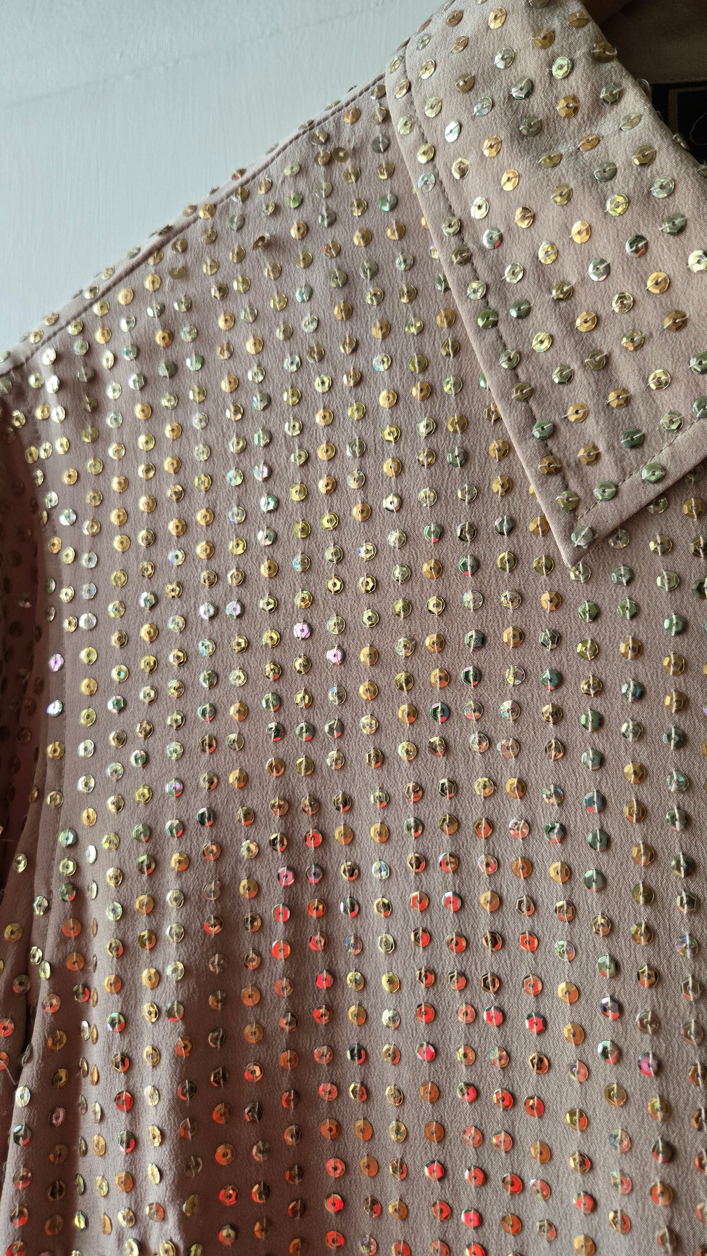 Diane Gilman beige sequin silk blouse