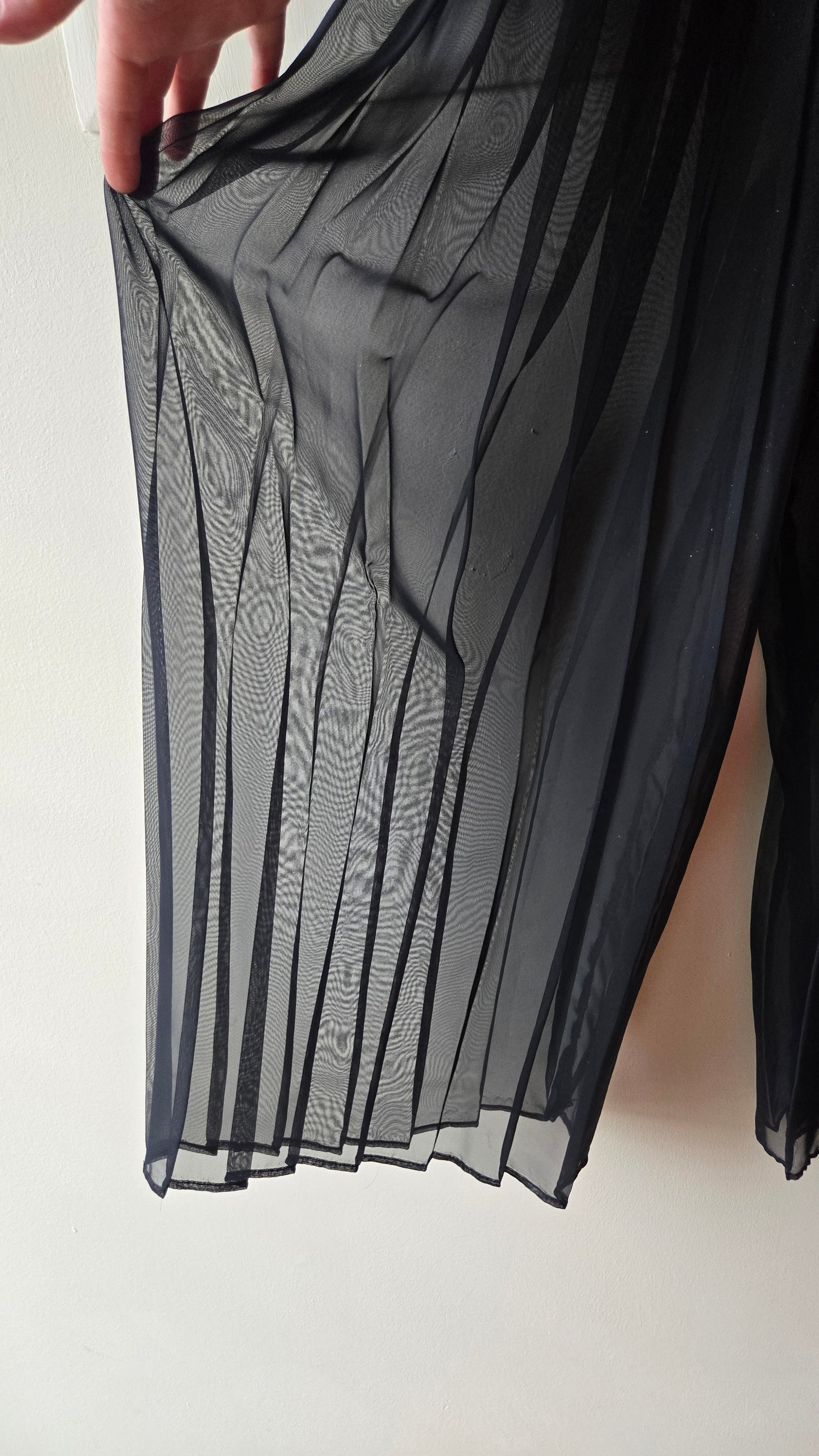 Sheer black pleated palazzo pants