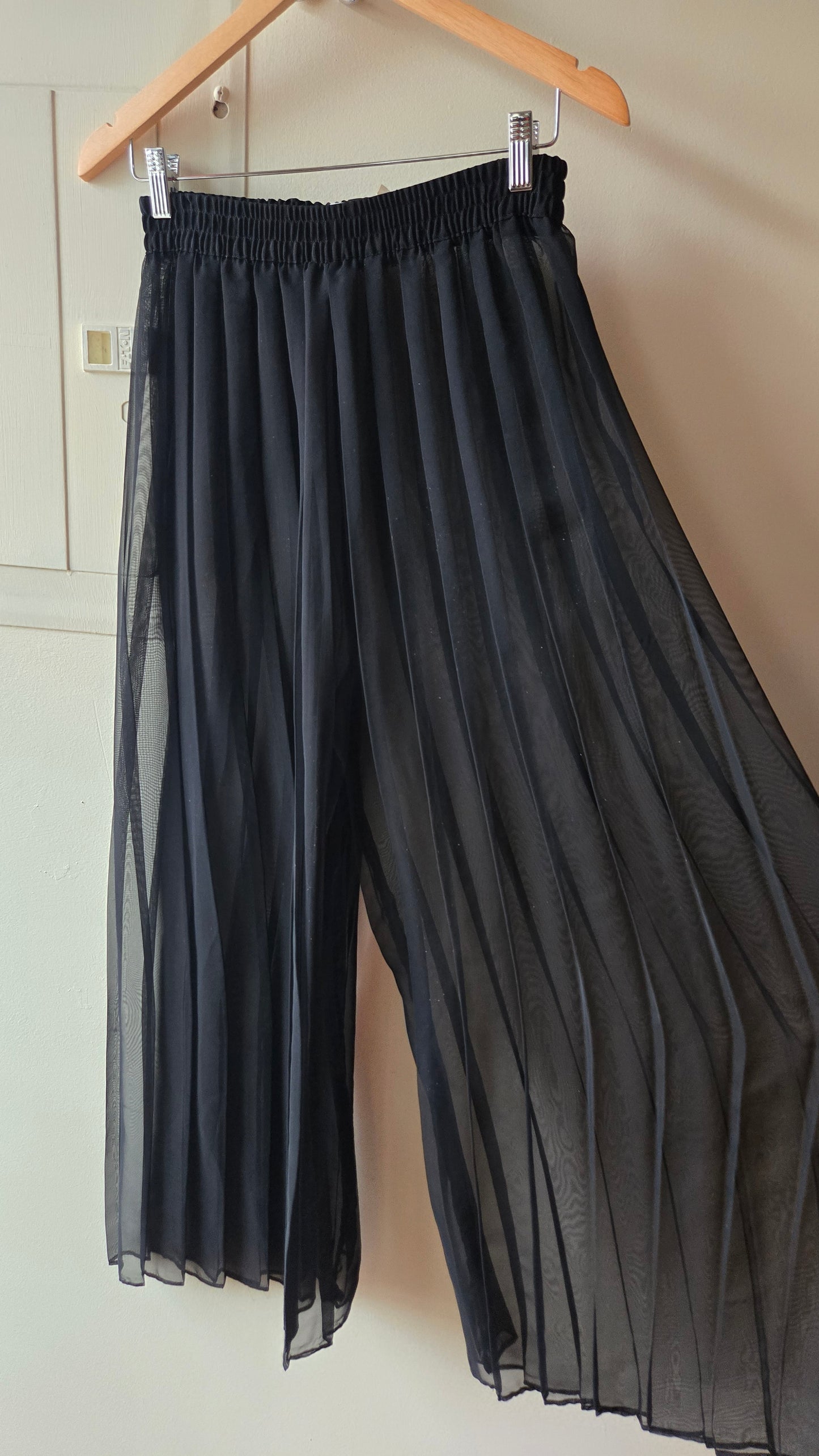 Sheer black pleated palazzo pants