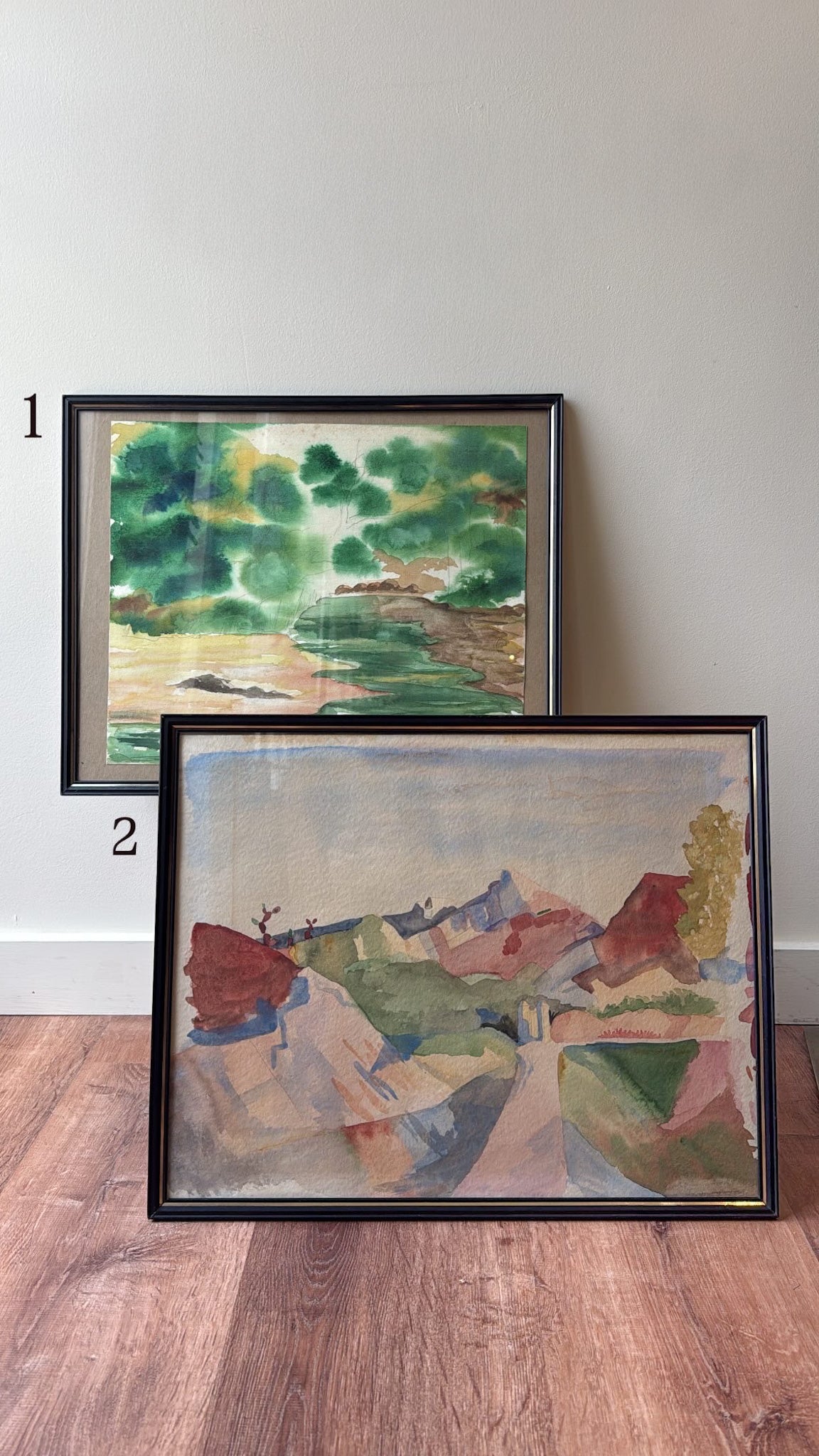 Framed Watercolors